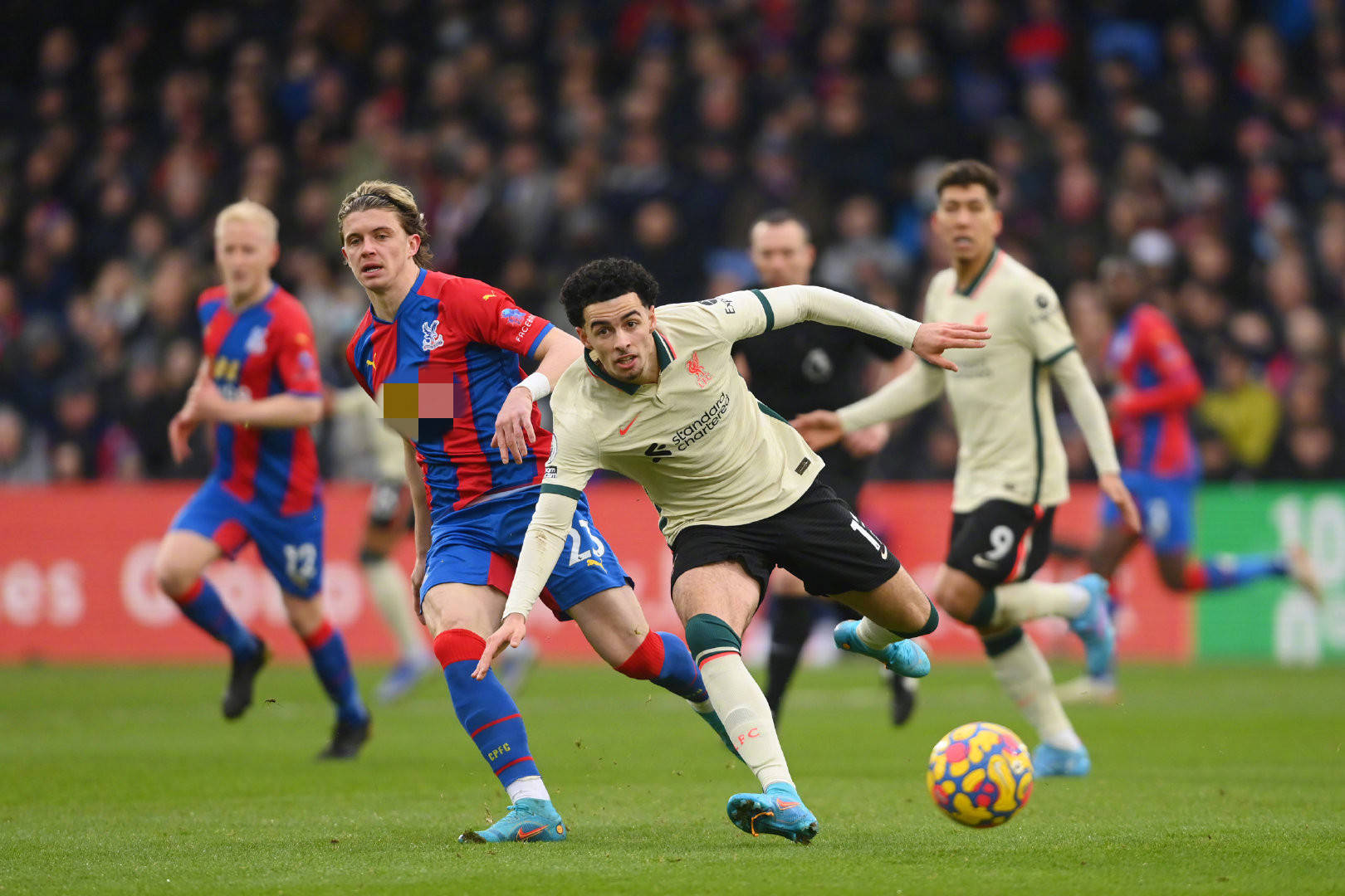 来自中国上 来自中国上